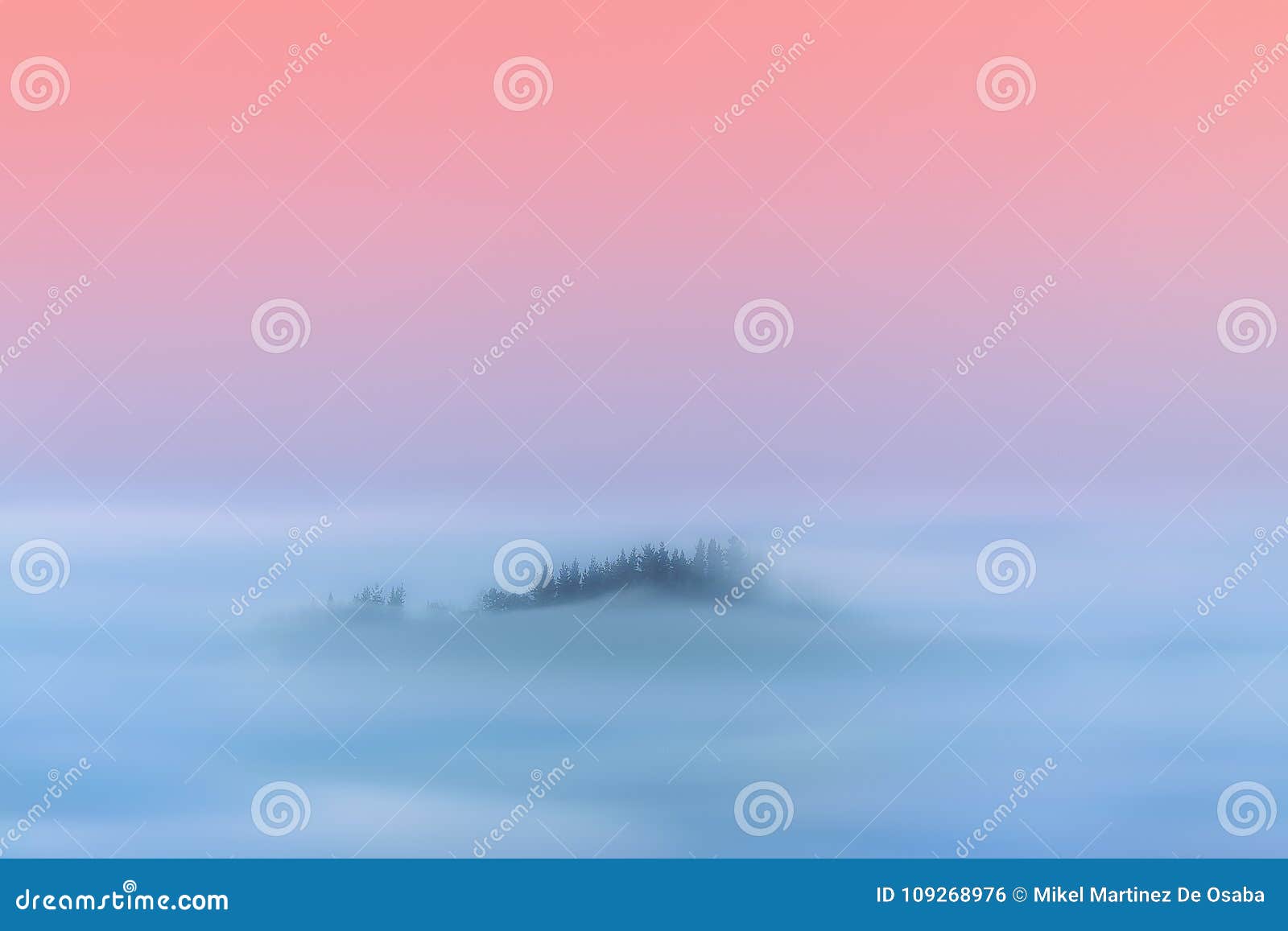 dreamy magic landscape of hazy forest