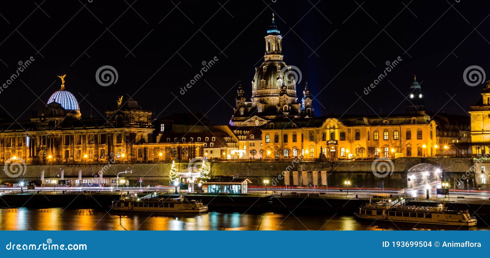 dresden on the banks of the elbe at night