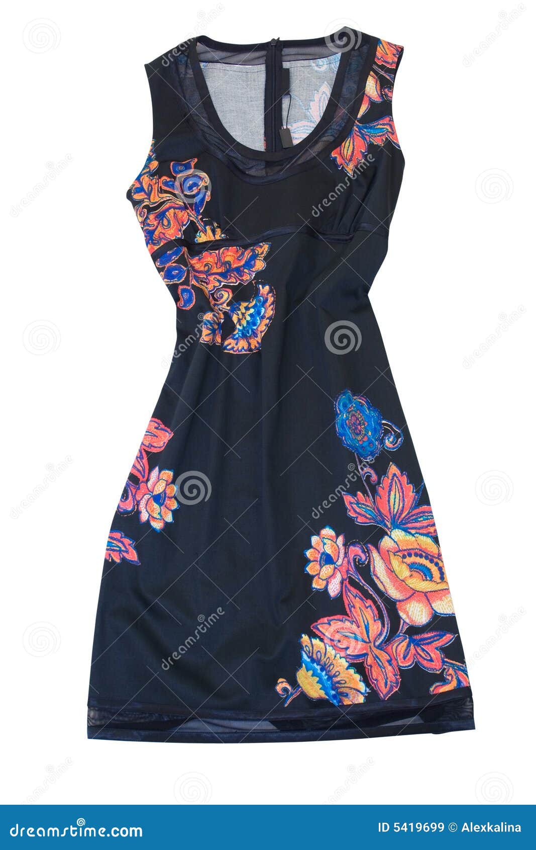 Dress stock image. Image of beauty, dressed, dress, isolated 5419699