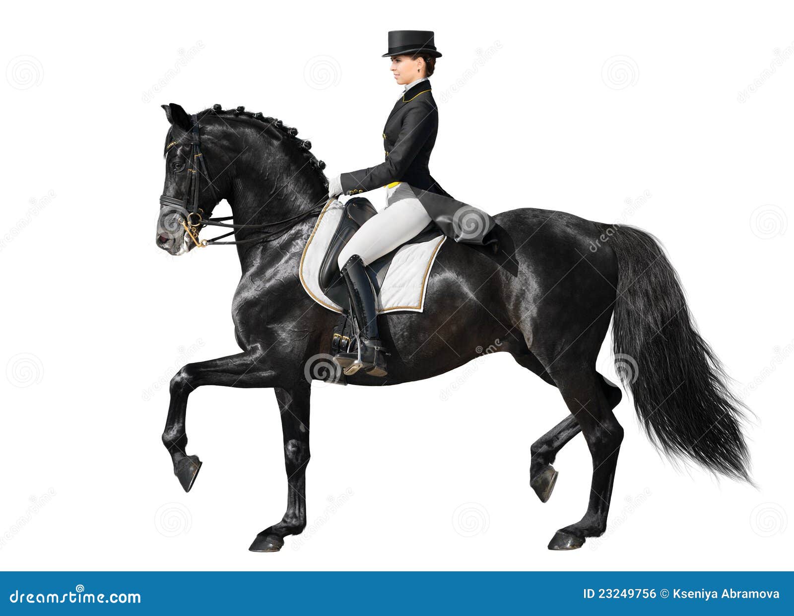 free clip art dressage horse - photo #49