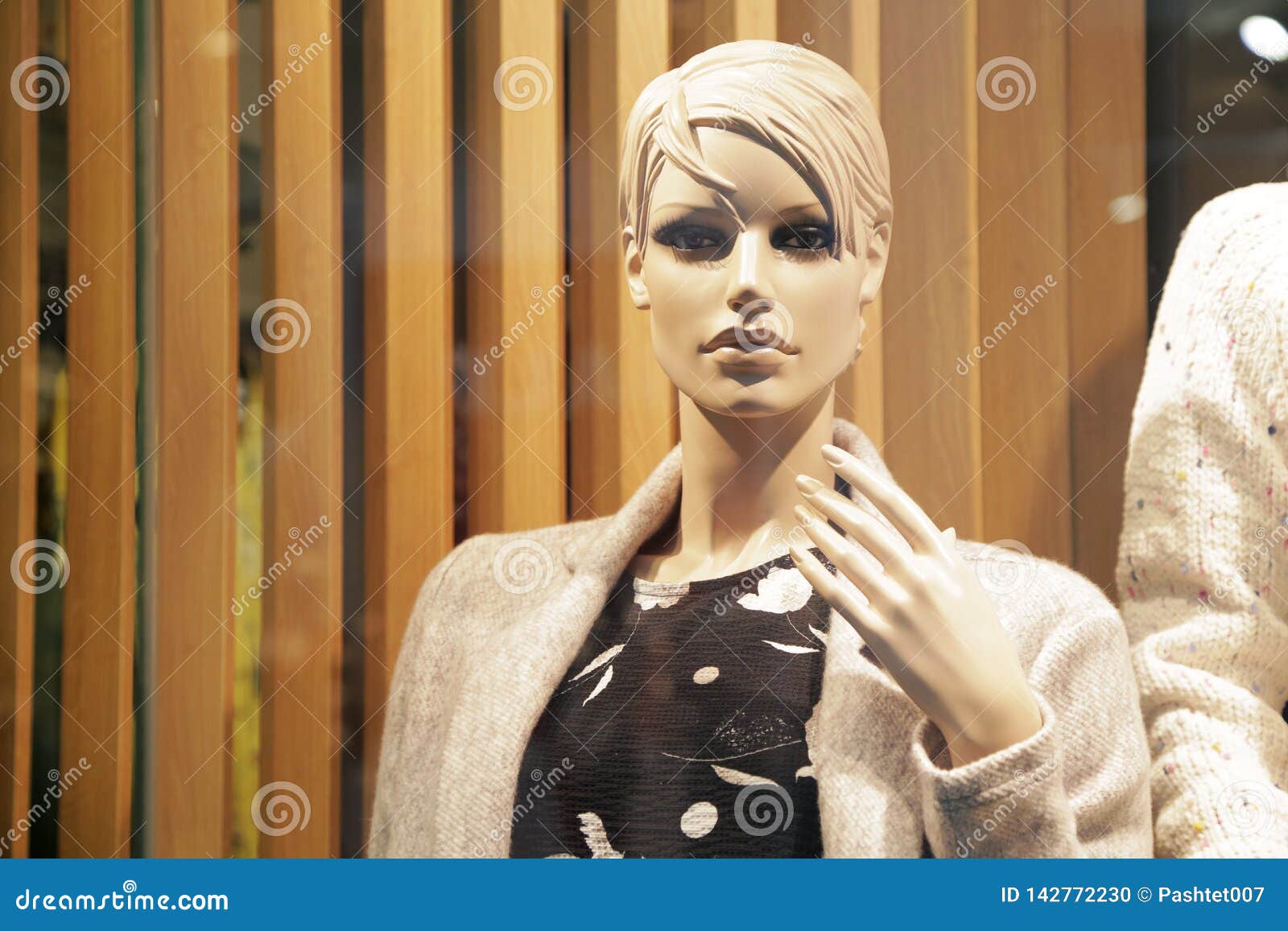 Mannequins in the Mall 009 stock photo. Image of advertising 142772230