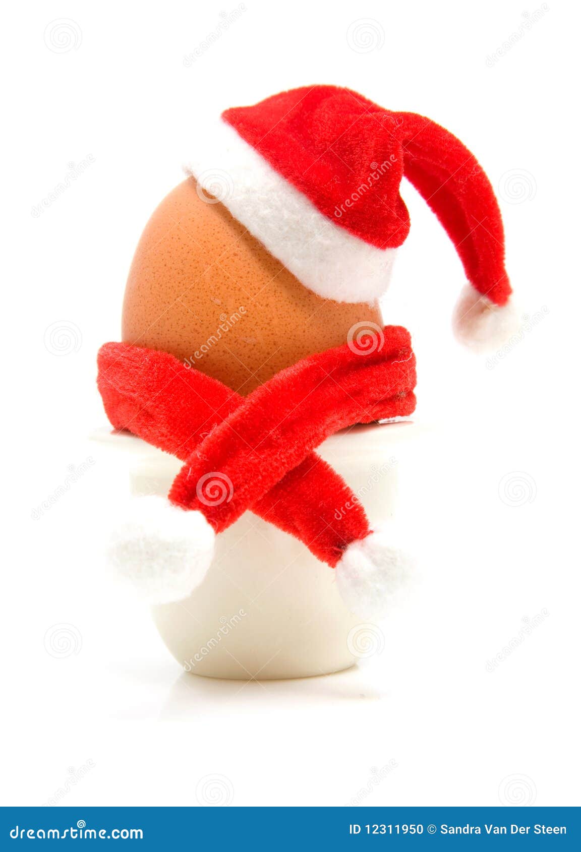Dressed Up Christmas Egg Stock Photo - Image: 12311950