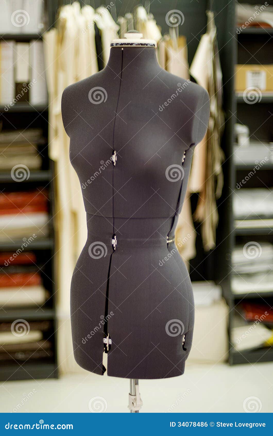 Dressmakers Dummy stock photo. Image of model, 34078486