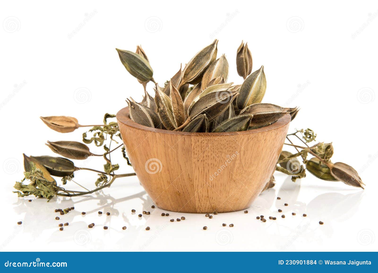 dried abelmosk friuts and seeds  on white background