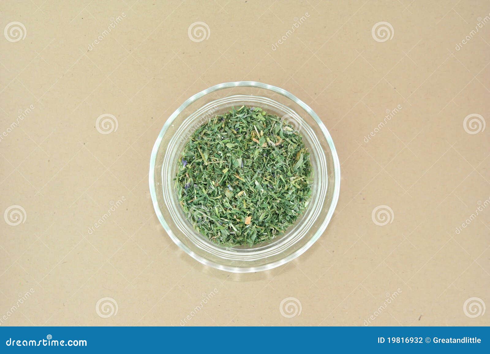 Dried alfalfa herbs stock photo. Image of leaves, leaf 19816932