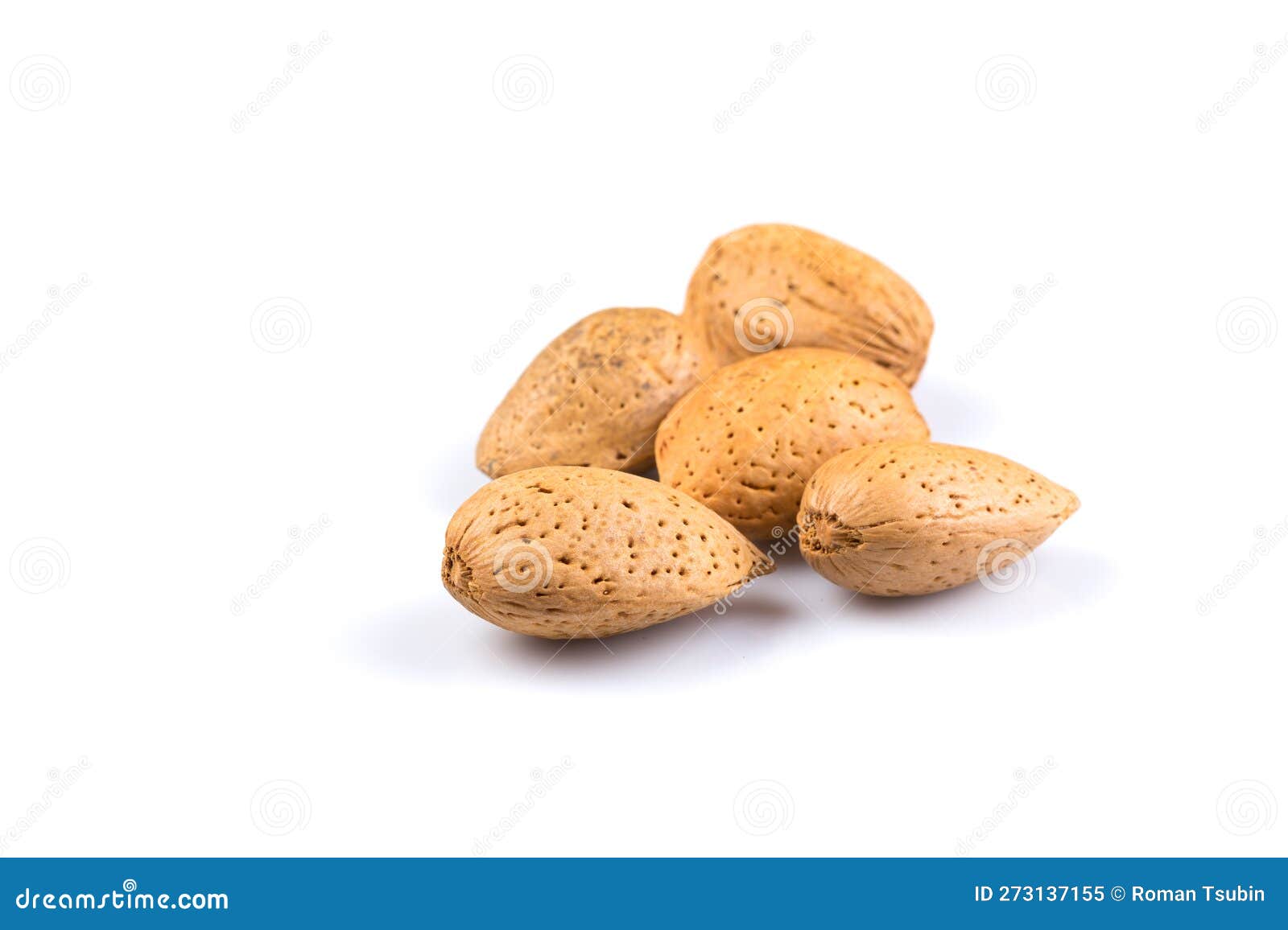 Dried almonds stock image. Image of brown, shell, kernel 273137155