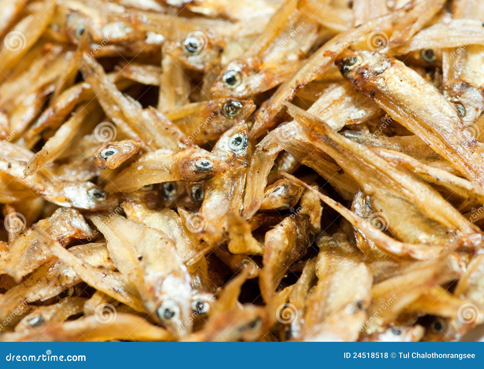 Dried anchovies stock photo. Image of cooking, meat, food 24518518