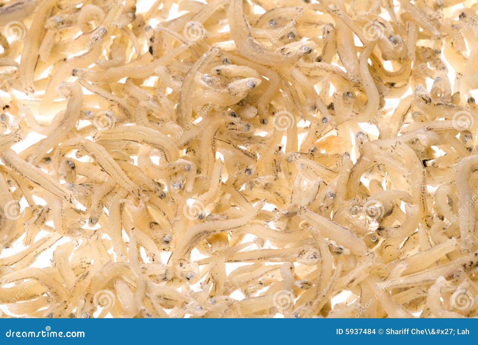 Dried Anchovies Pile, Animal Protein And High Calcium On Wooden Plate