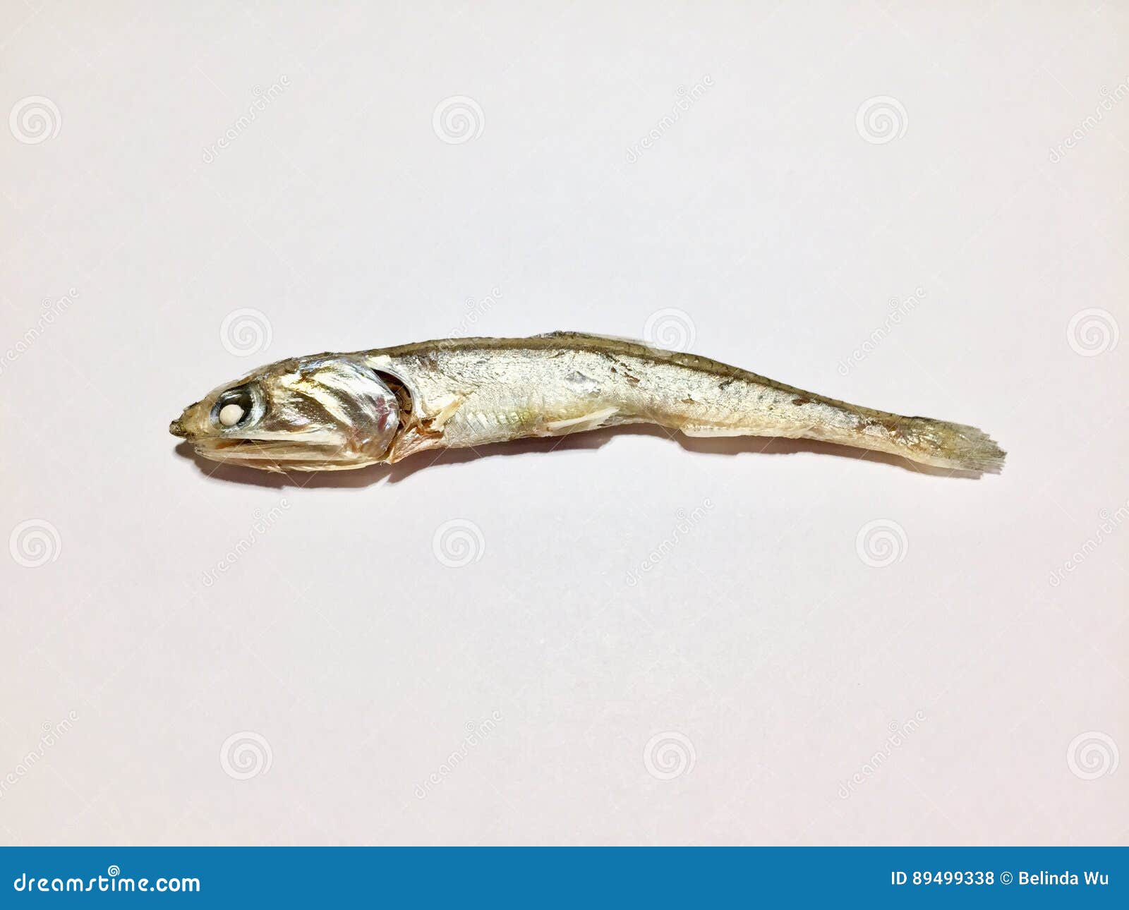 Dried anchovy stock photo. Image of fish, macro, isolated 89499338