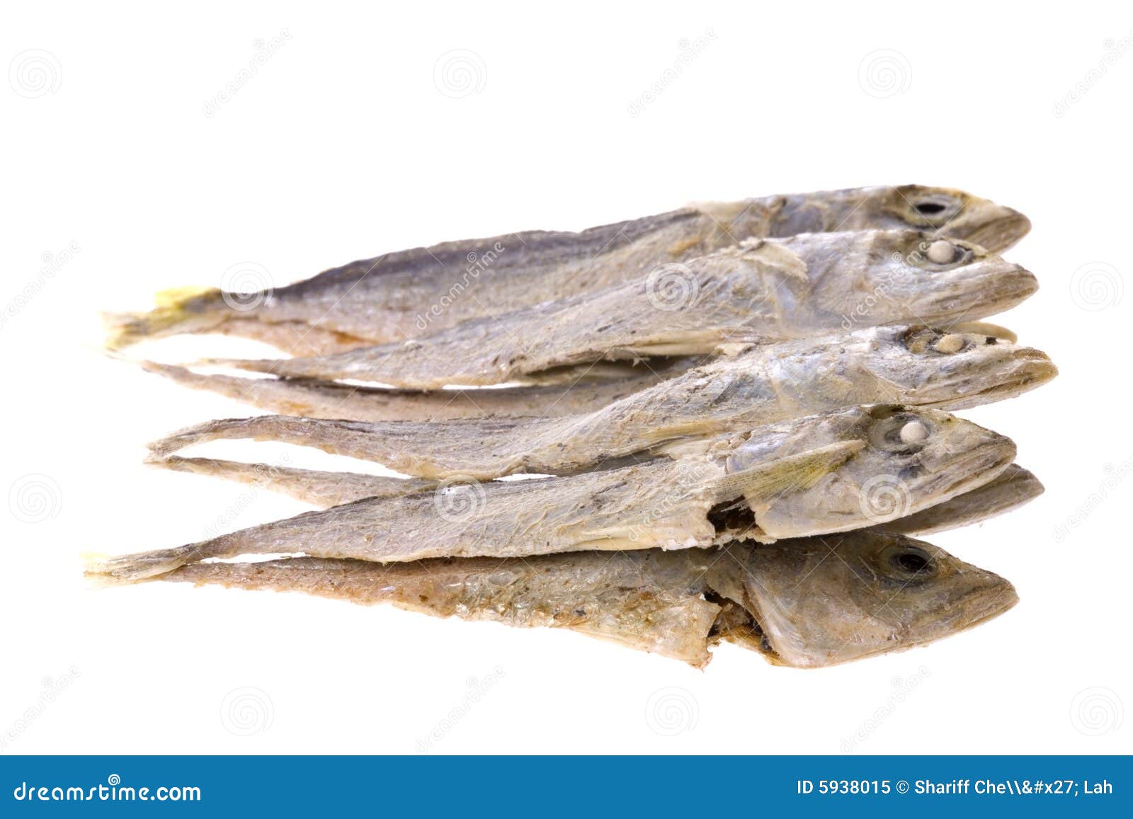 Dried anchovy fish stock image. Image of oily, nutritious 5938015