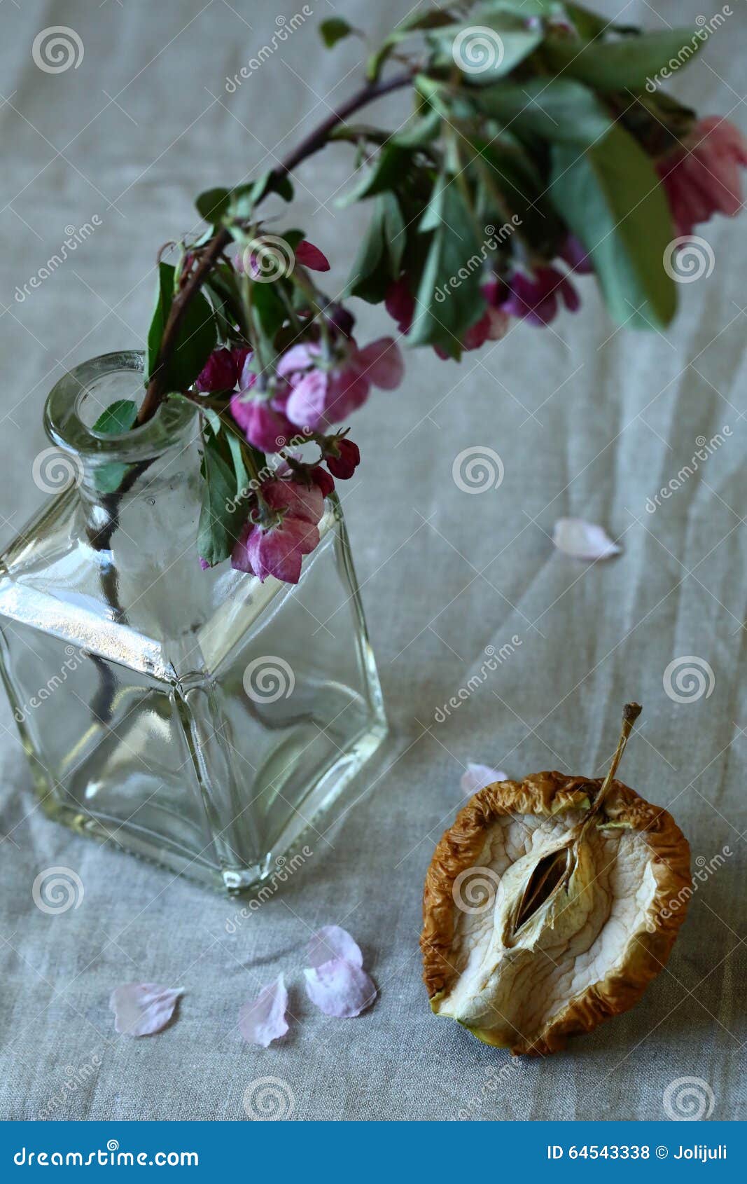 Dried apple stock photo. Image of bottle, fading, naturally 64543338