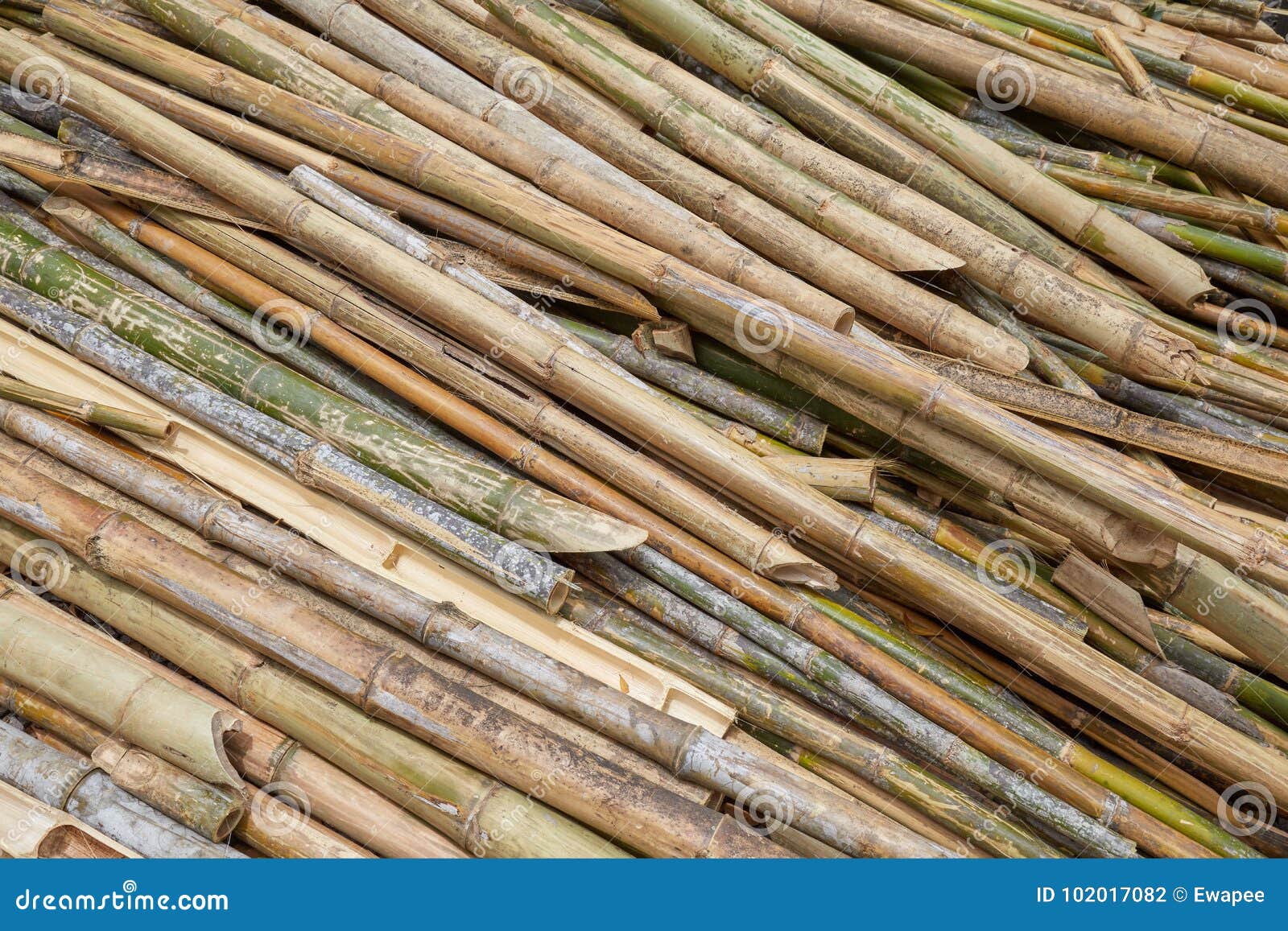 Dried bamboo stock photo. Image of industries, bamboo 102017082