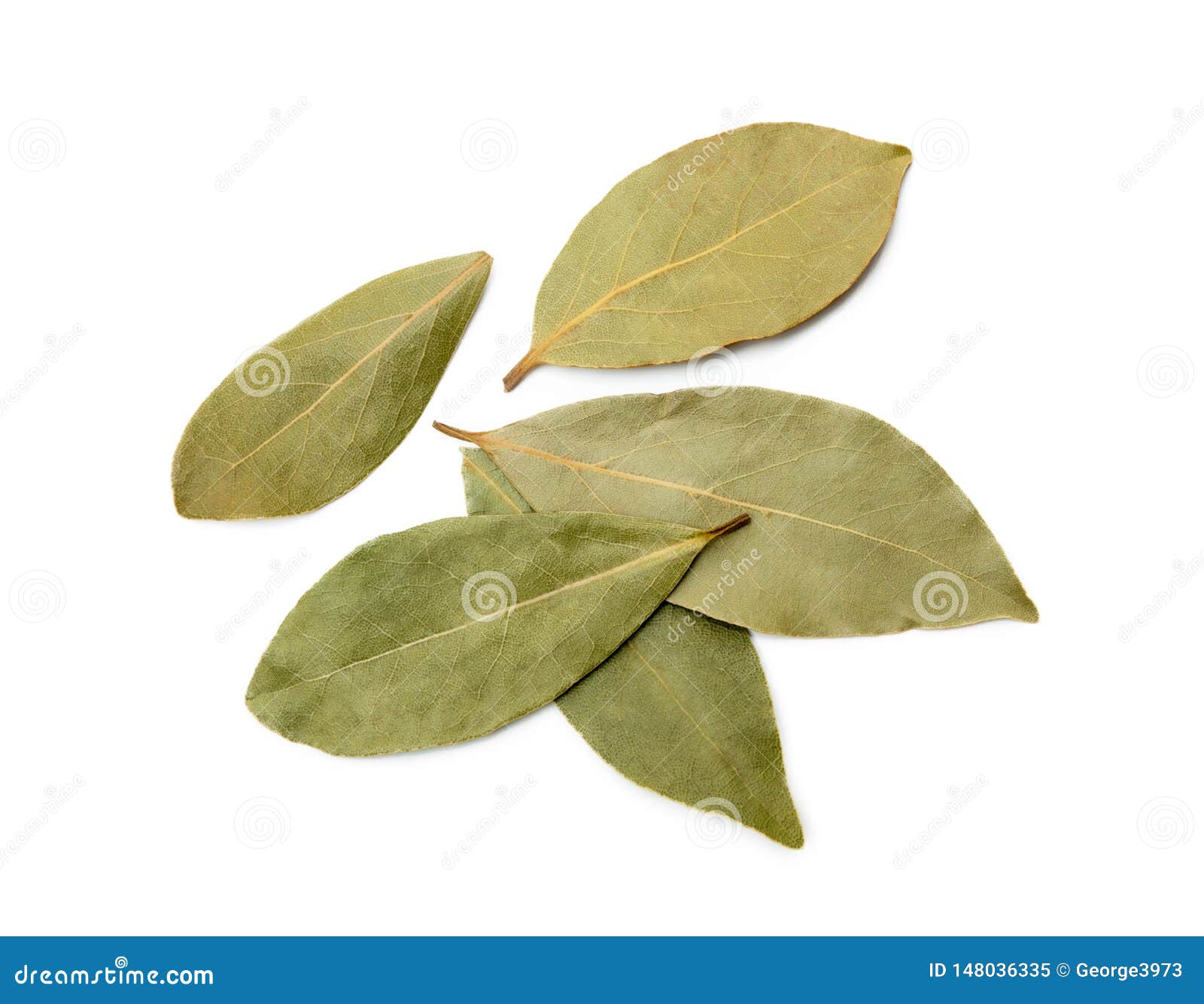 Dried bay leaf stock image. Image of group, close, aromatic 148036335