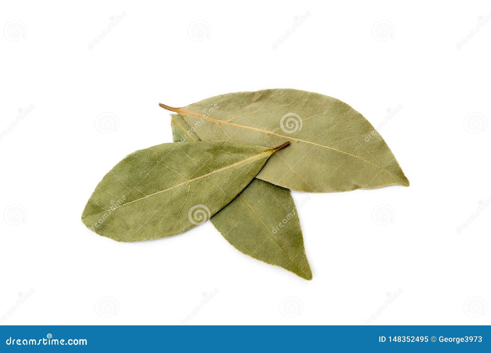 Dried bay leaf stock image. Image of closeup, flavor 148352495