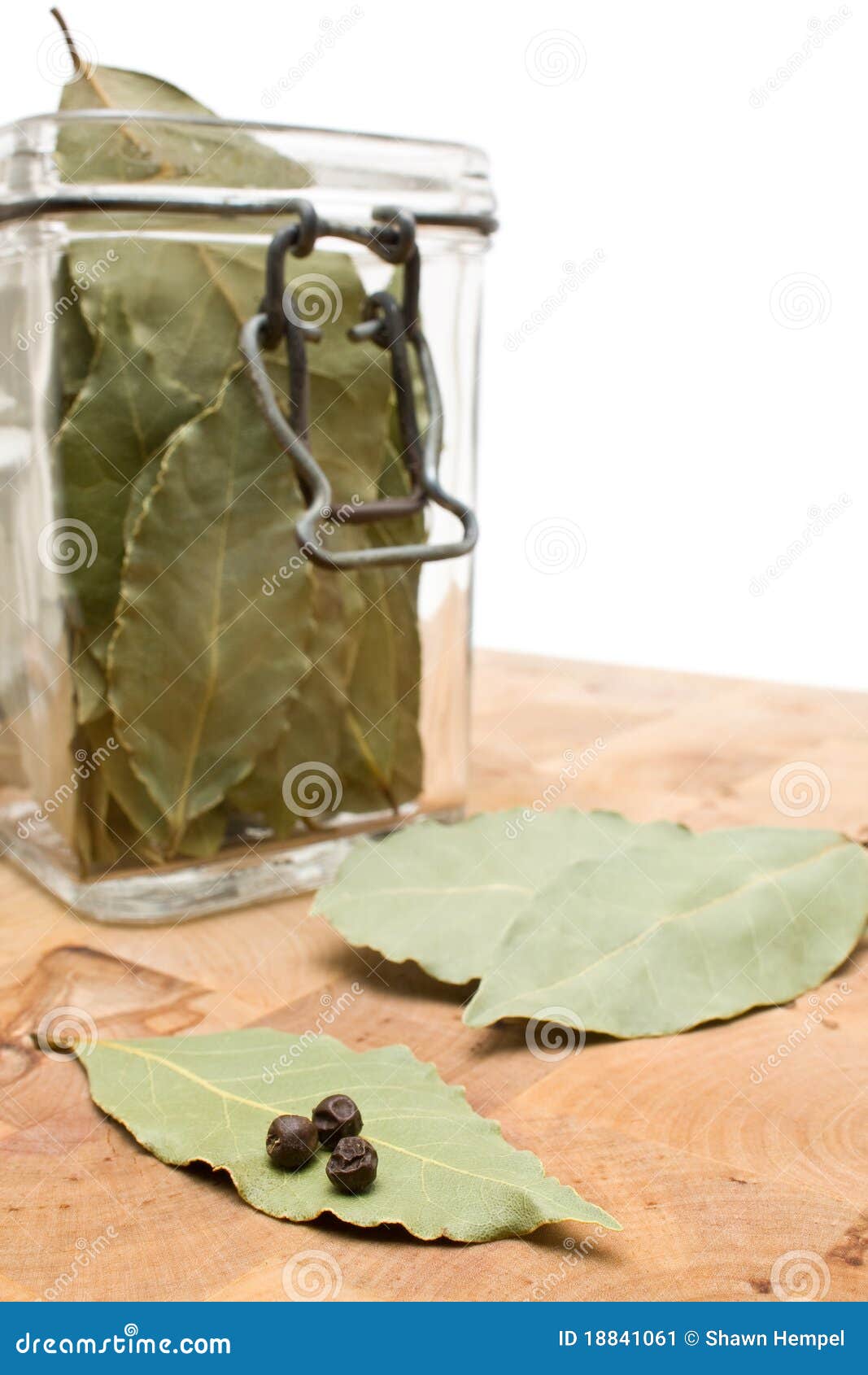 Dried bay leaves stock image. Image of close, glass, detail 18841061