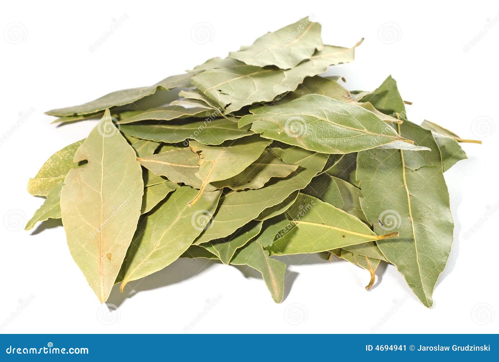 Dried bay leaves stock image. Image of garden, ingredient 4694941