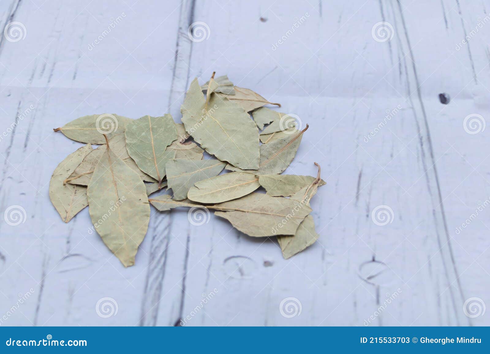 Dried Bay Leaves the Benefits of Bay Leaves Concept Stock Image