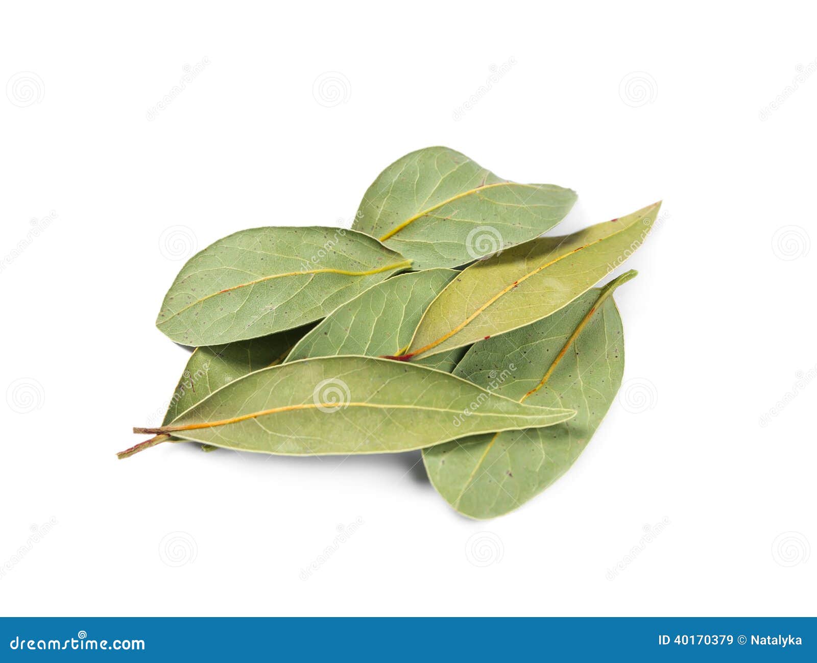 Dried bay leaves stock image. Image of spice, food, aroma 40170379