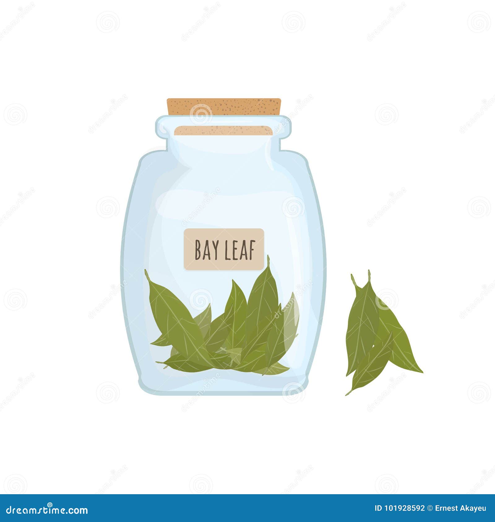 dried bay leaves stored in clear jar  on white background. piquant condiment with pungent smell, food spice