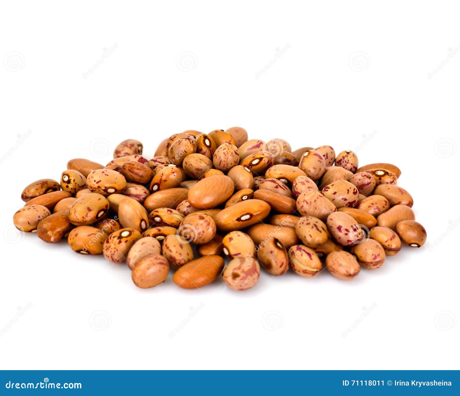 Dried Beans on White Background Stock Image Image of white, natural