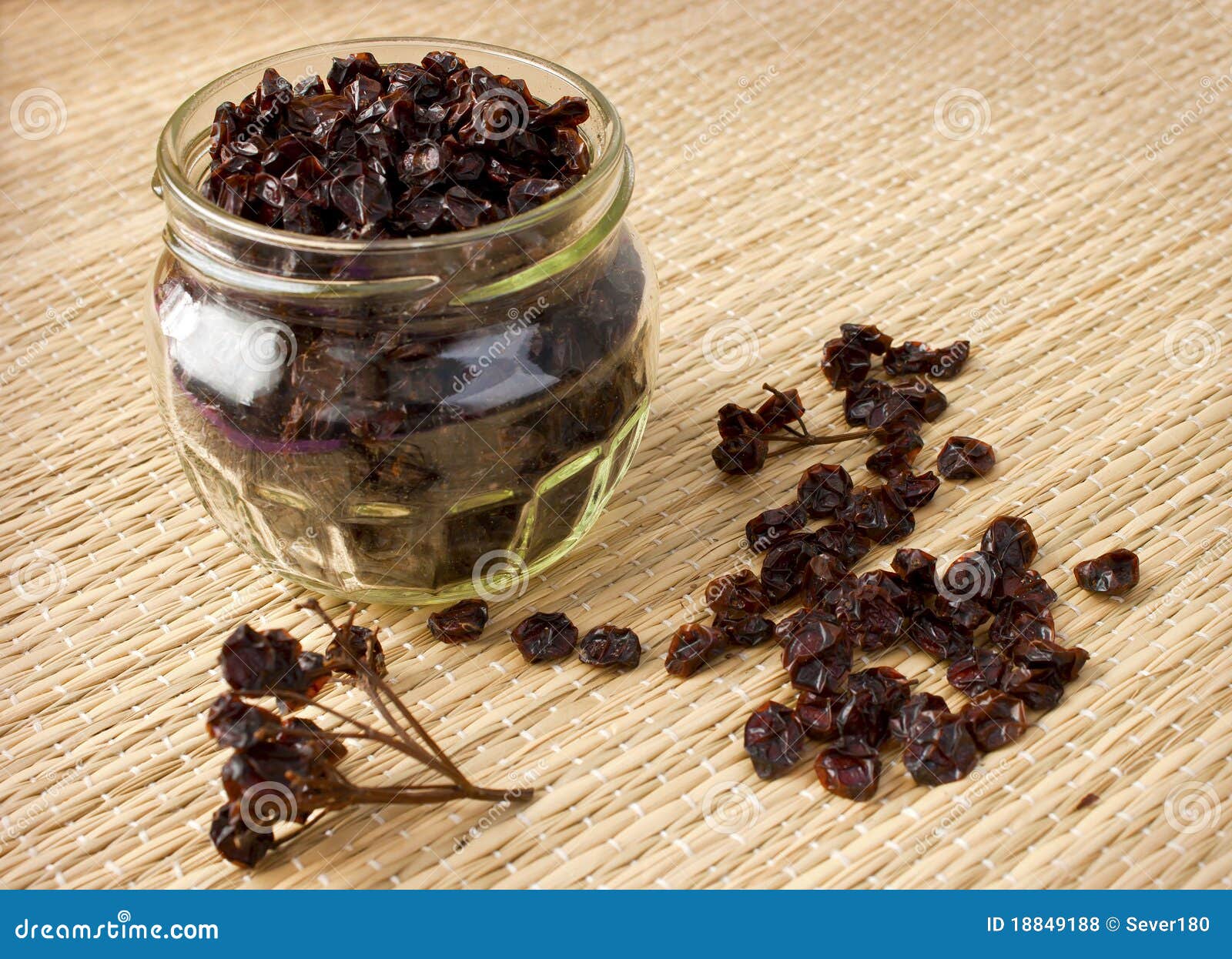 Dried berries of viburnum stock photo. Image of medicamentous 18849188