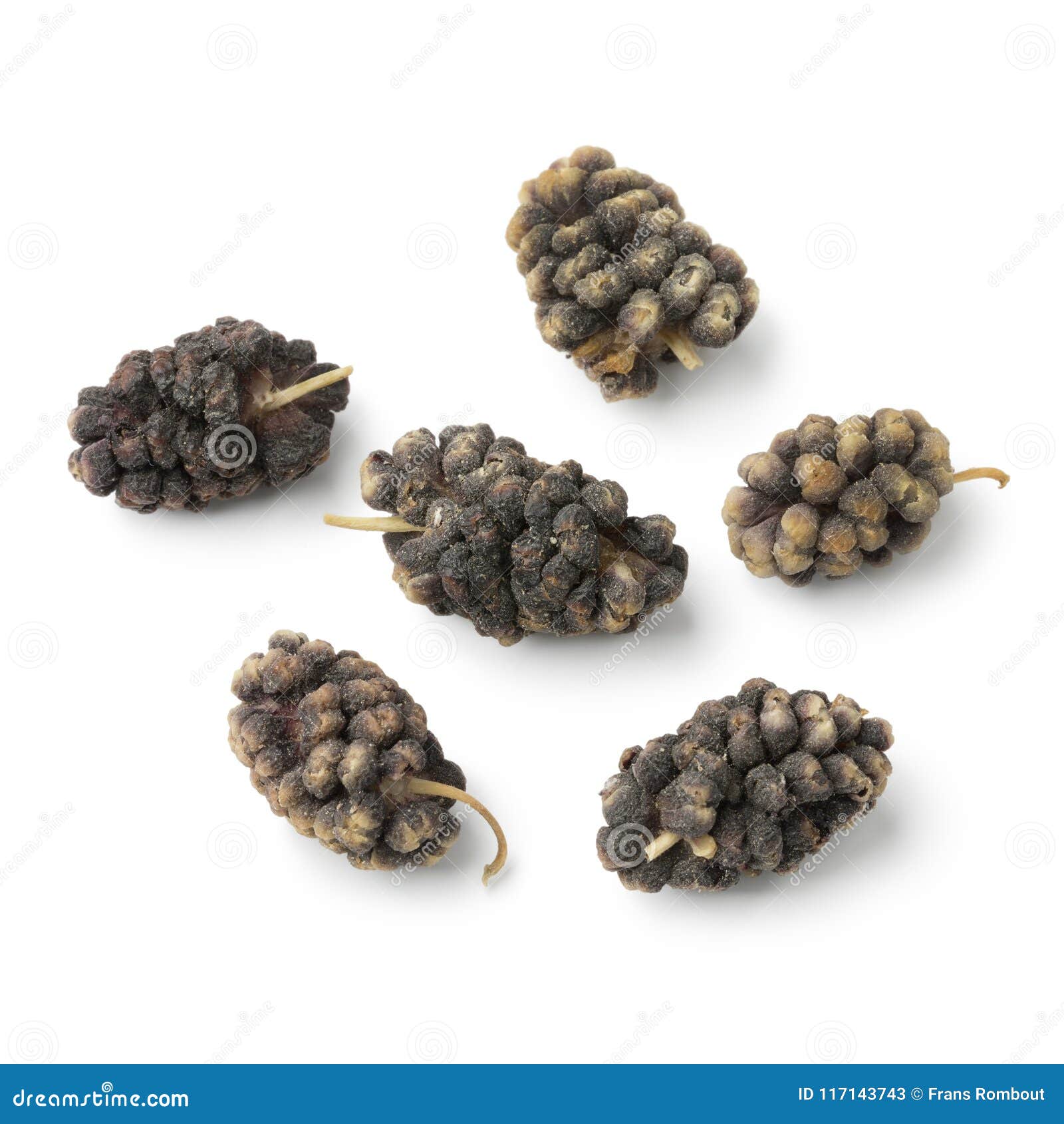 Dried Black Mulberries Close Up Stock Image Image of dried