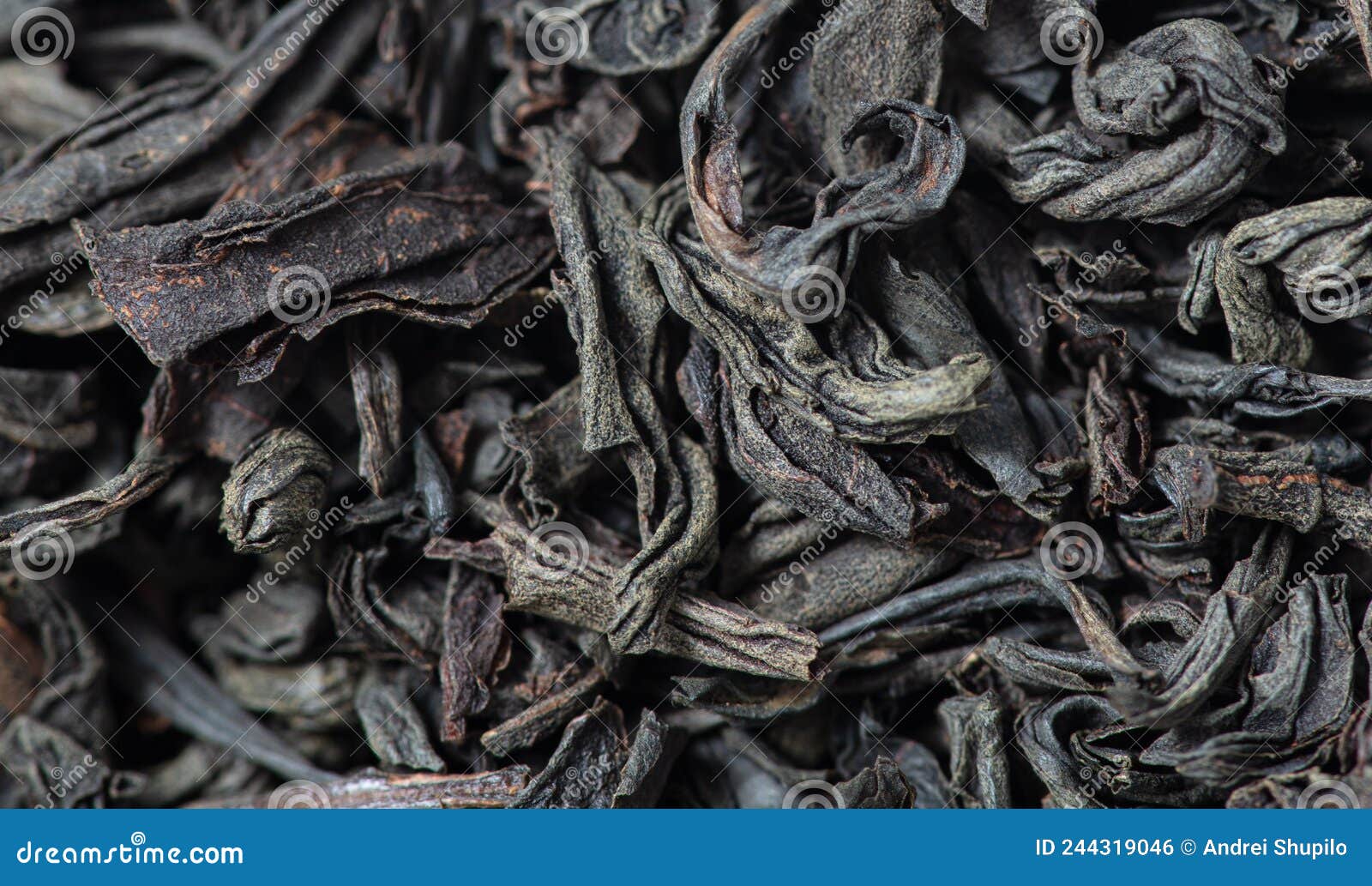 Dried Black Tea Leaves As Background. Stock Photo Image of closeup