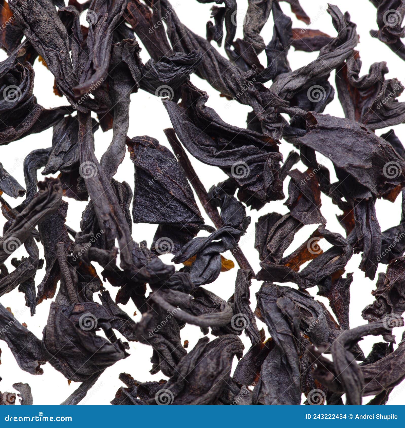Dried Black Tea Leaves on a White Background. Stock Photo Image of