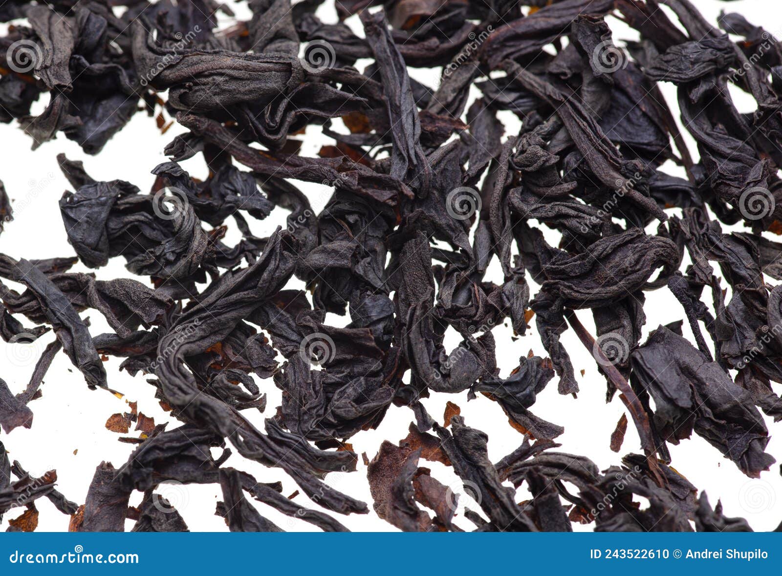 Dried Black Tea Leaves on a White Background. Stock Photo Image of