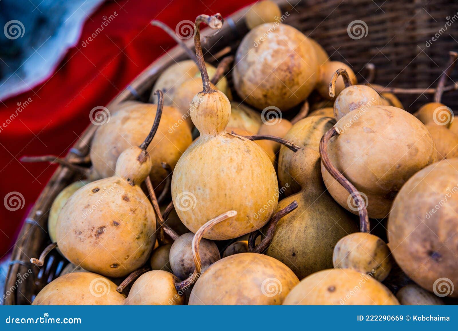 Dried Bottle Gourd in Basket Stock Image Image of nature, produce