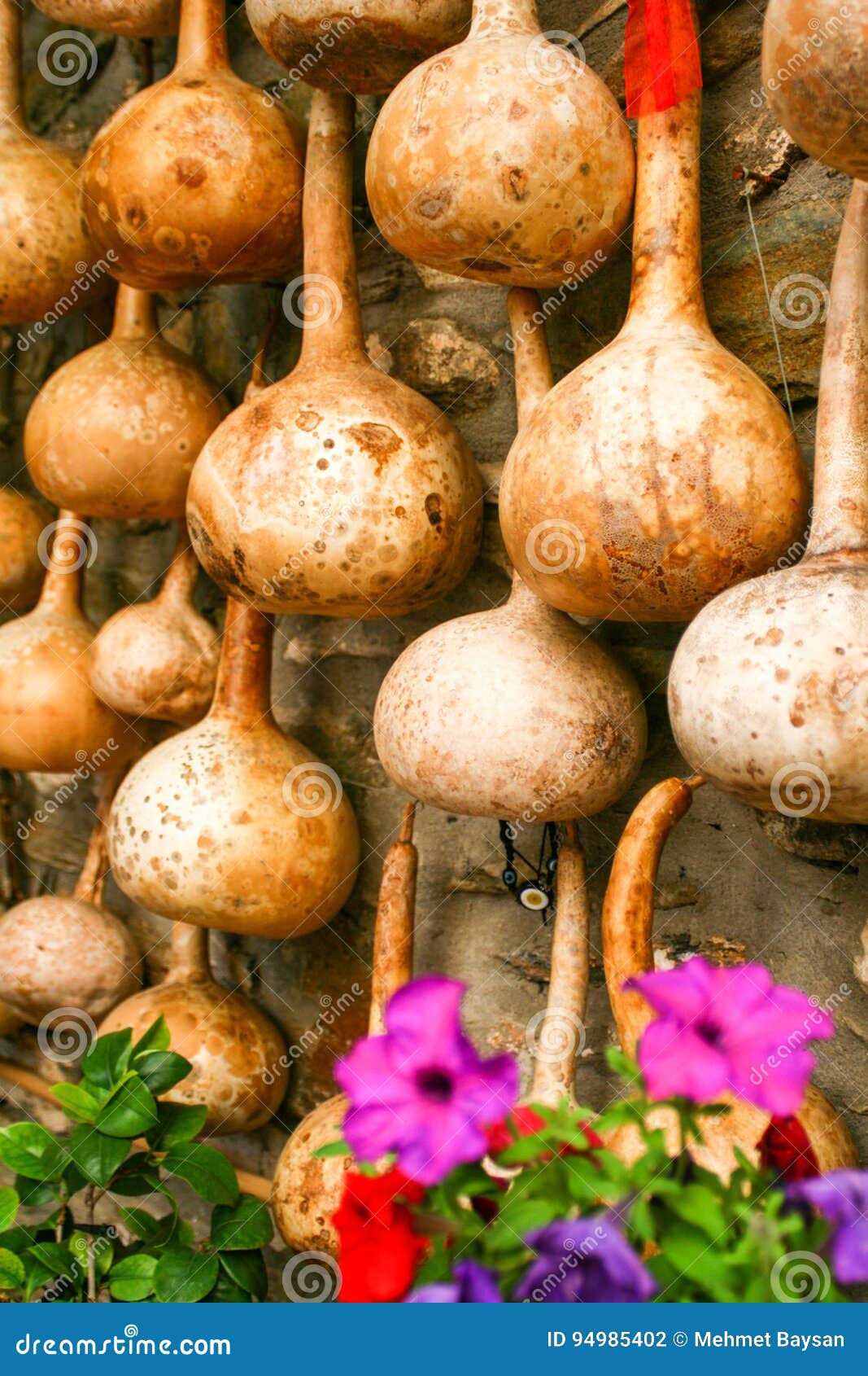 Dried Bottle Gourd Used for Decoration Stock Photo Image of canteen