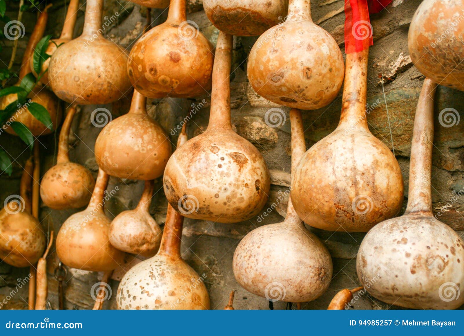 Dried Bottle Gourd Used for Decoration Stock Image Image of calabash
