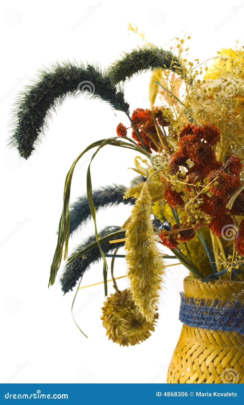 Dried bouquet stock photo. Image of petals, plant, leaf 4868306