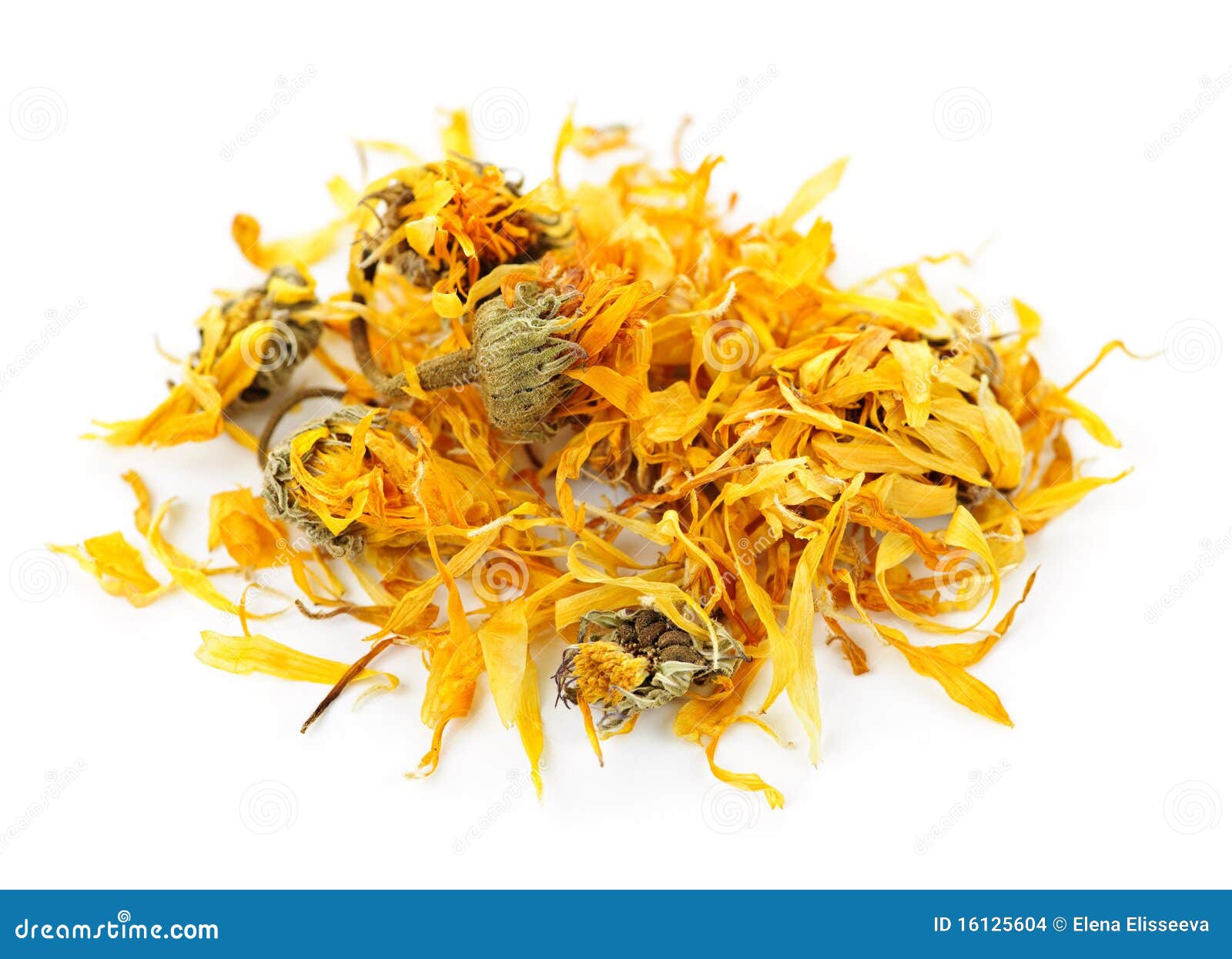 Dried Calendula Herb Flowers Stock Photo Image of dried, isolated