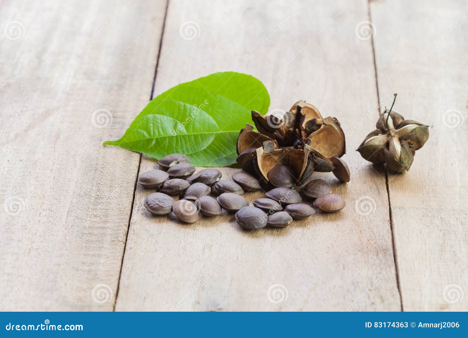 Dried Capsule Seeds Fruit Of Sacha Inchi Peanut Stock Image Image Of