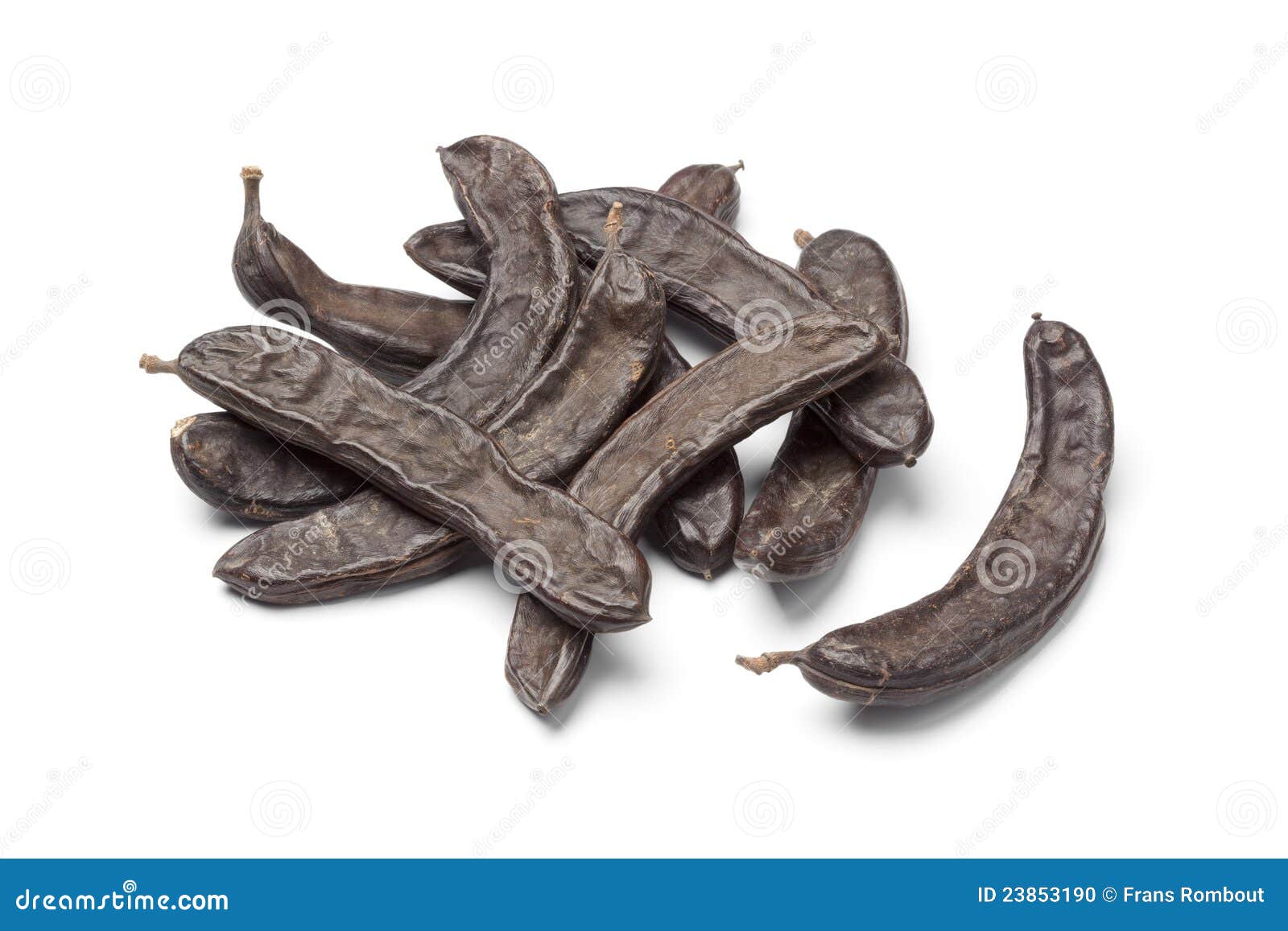 Dried Carob pods stock photo. Image of tropical, carob 23853190