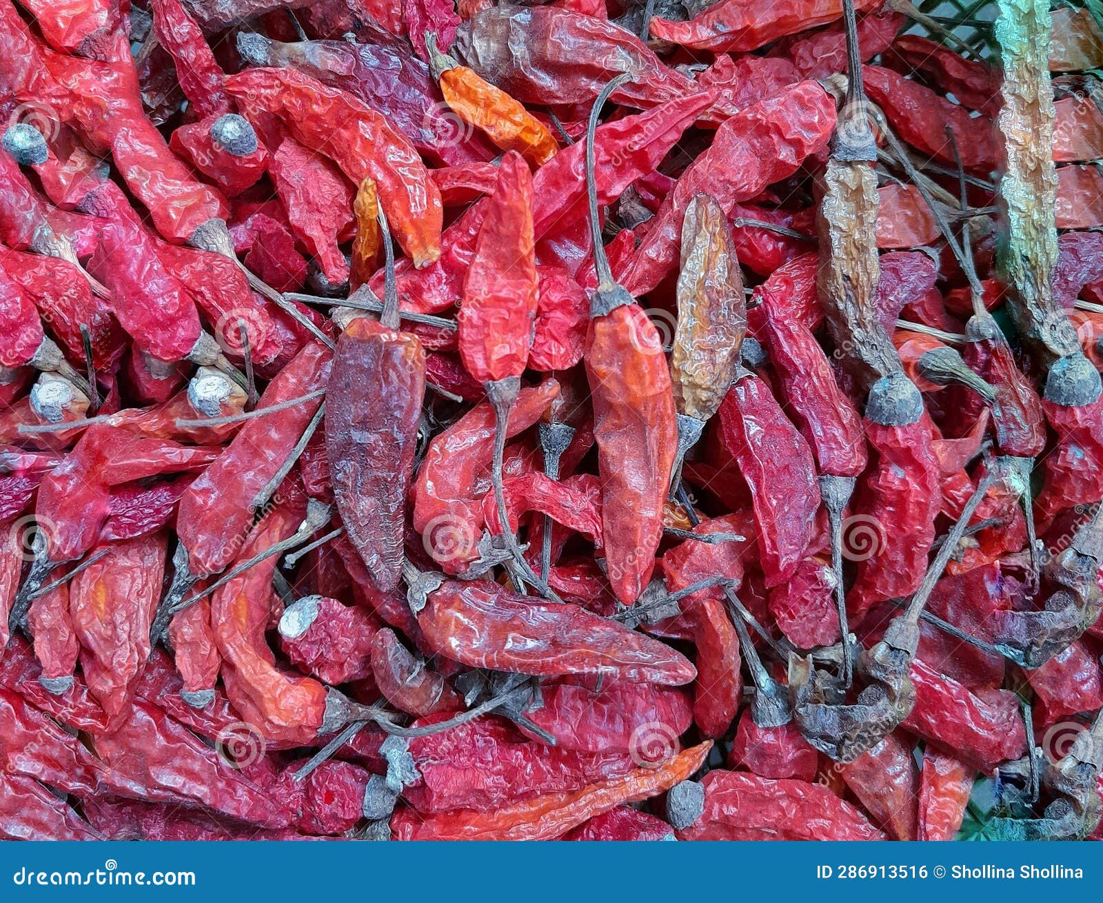 Dried cayenne peppers stock photo. Image of peppers 286913516