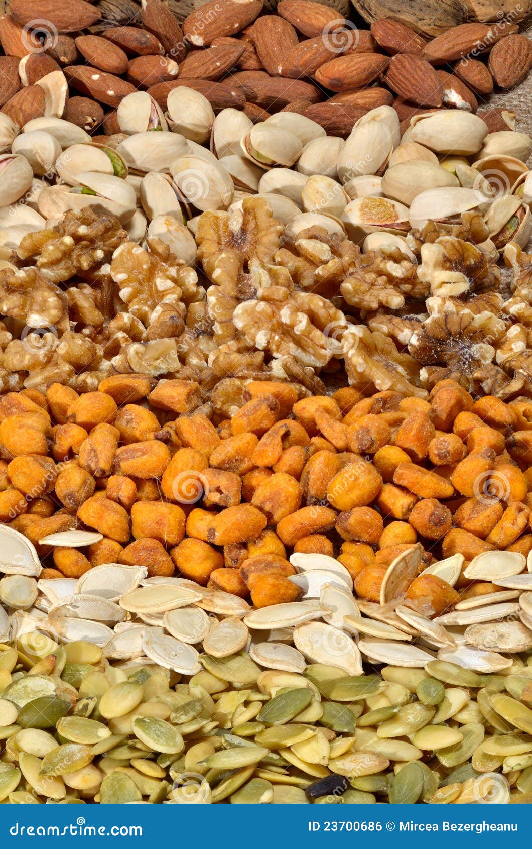 Dried Cereal Seeds and Fruits Stock Photo Image of kernel, dried