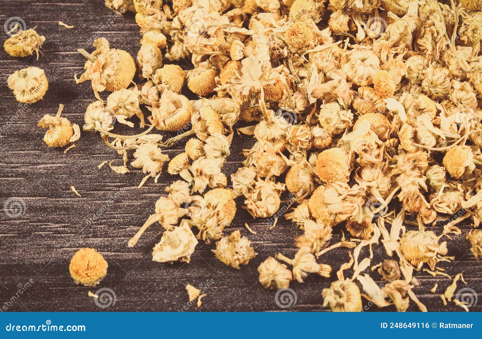 dried chamomile on wooden board. alternative medicine and herbalism