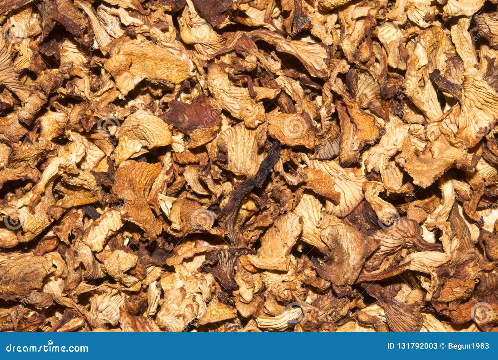 Dried Chanterelle Mushrooms.Background of Chanterelles Stock Image Image of