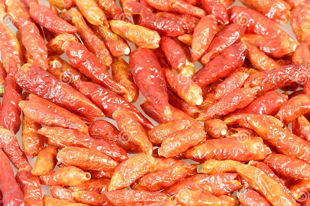 Dried chili peppers stock photo. Image of capsiicum, spicy 4300344