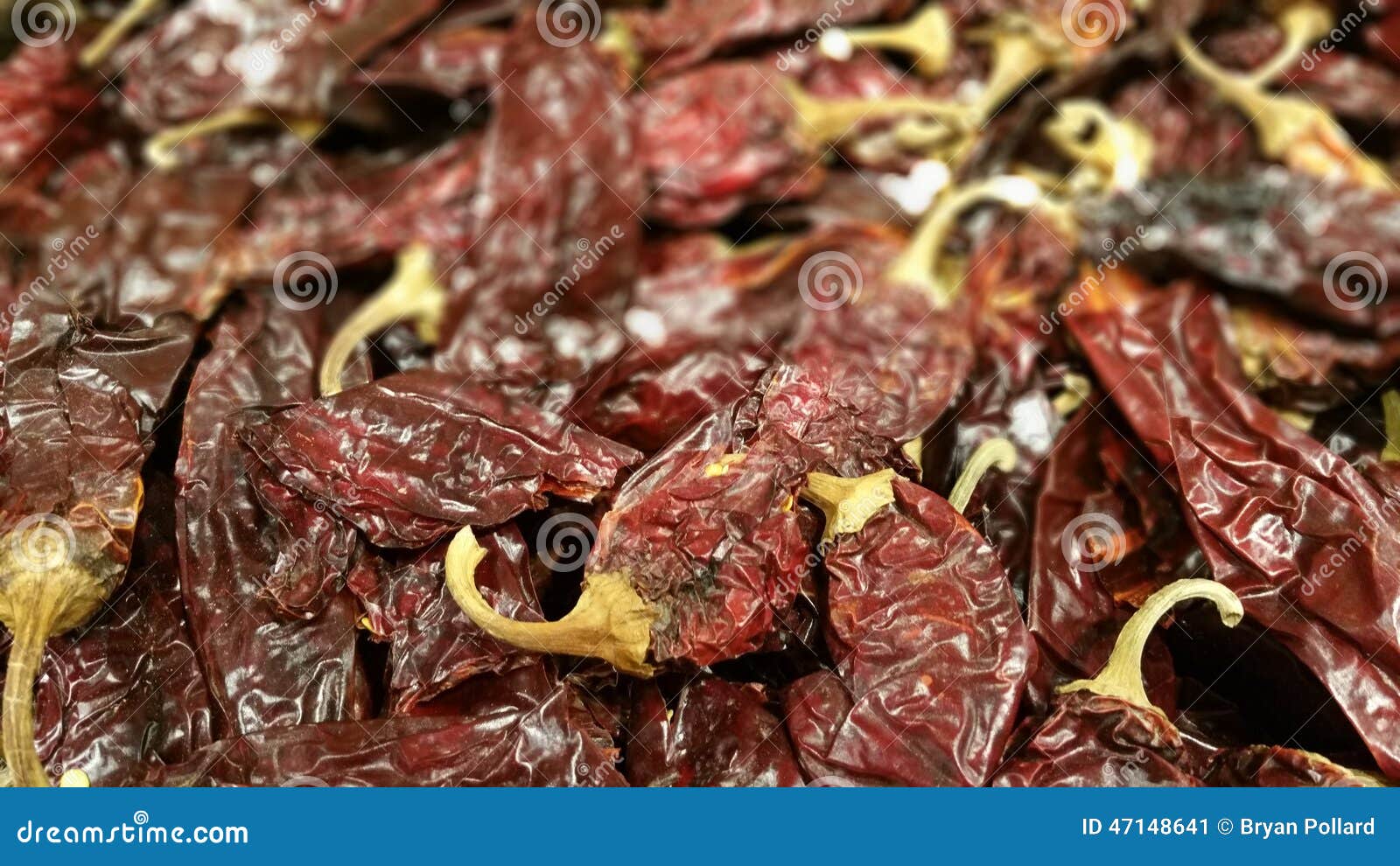 Dried Chili Peppers stock image. Image of stand, dried 47148641