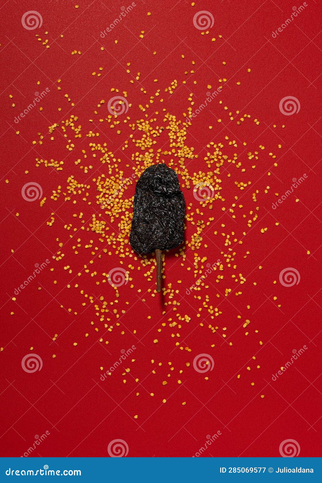 dried chili and seeds on red background, chile ancho pasilla mexican spice flat lay