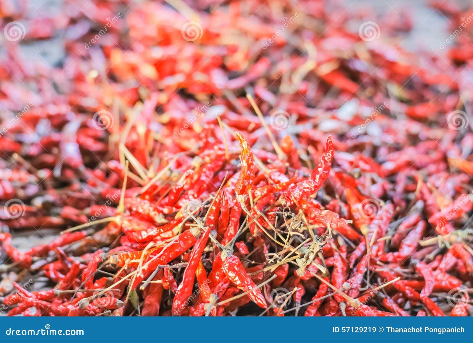 Dried chilies stock image. Image of healthy, ingredient 57129219