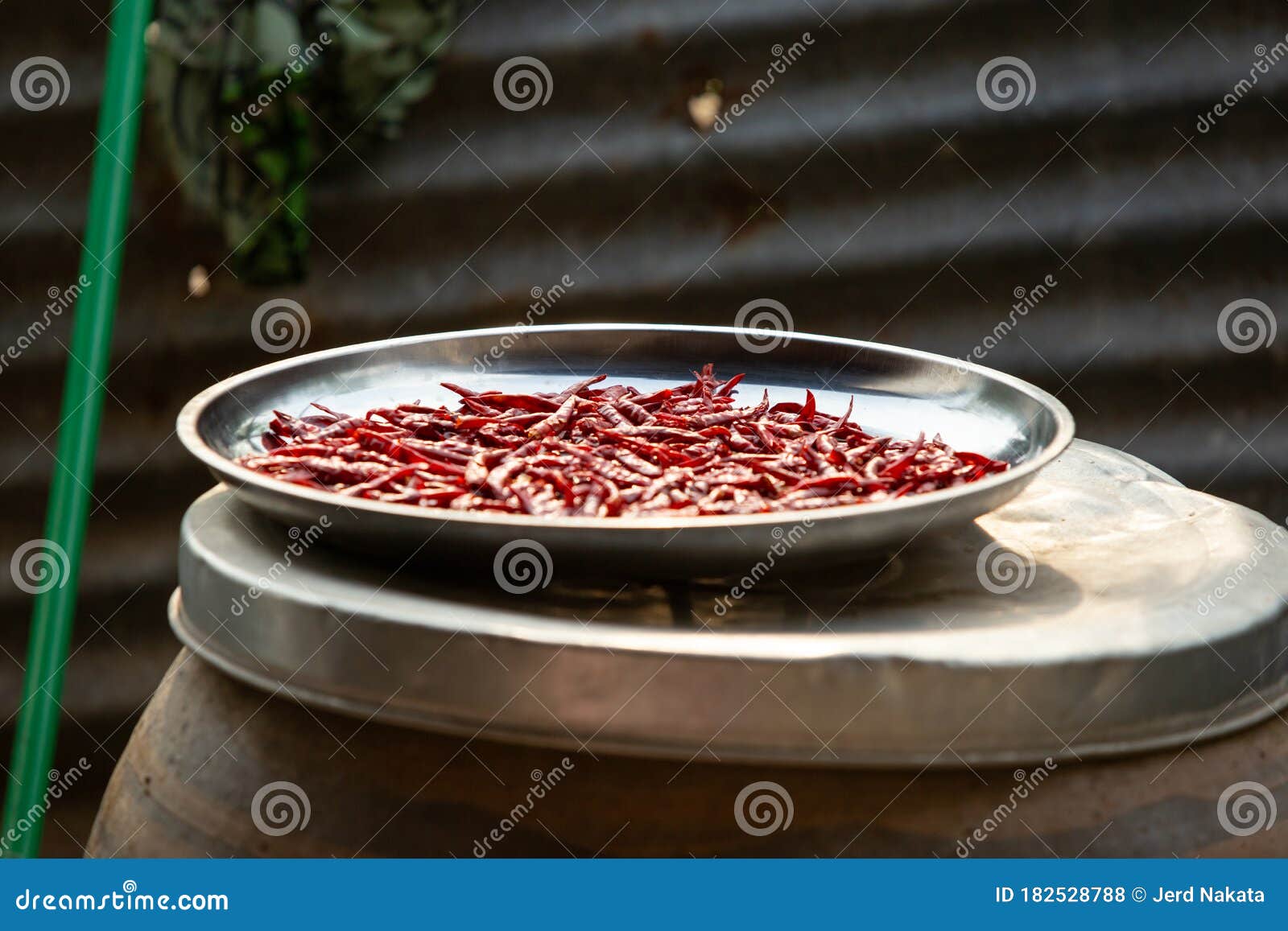 Dried Chilies Very Spicy for Thai Cooking Stock Photo Image of health
