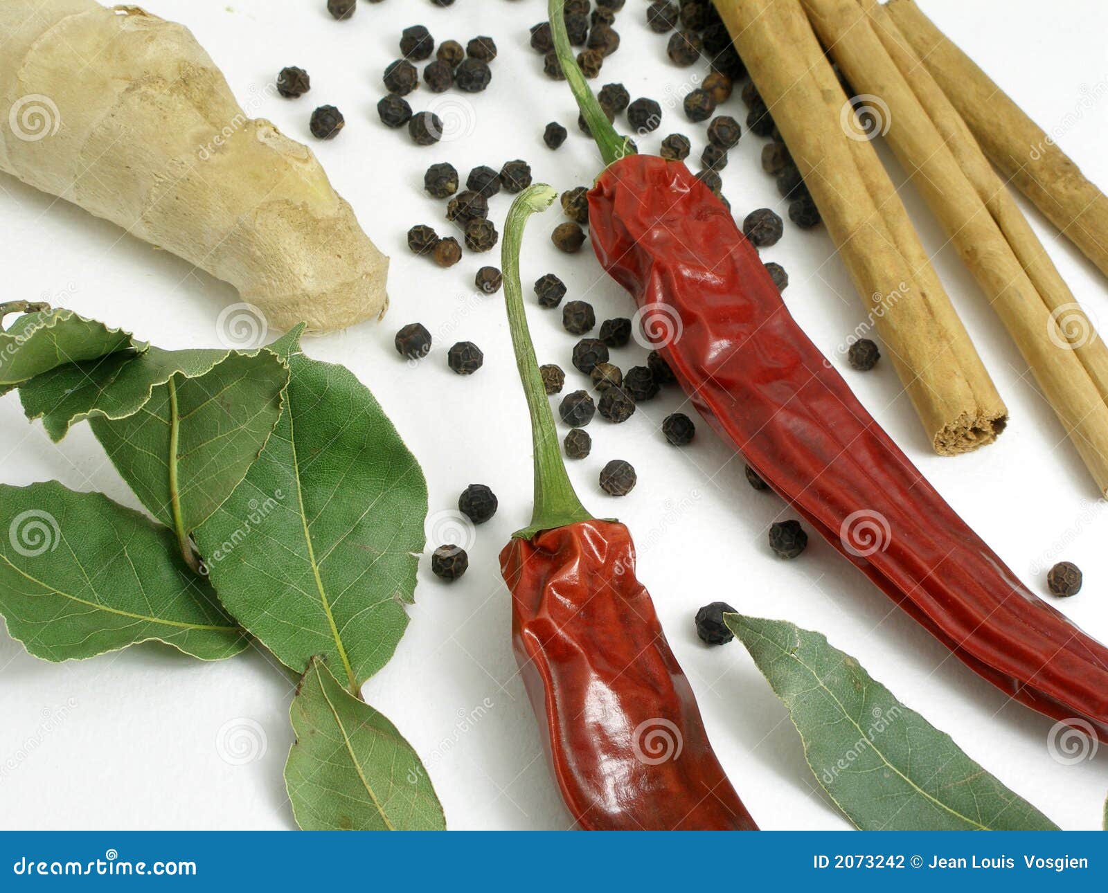Dried Chilli, Bay Leaves and Cinnamon Stock Photo Image of leaves