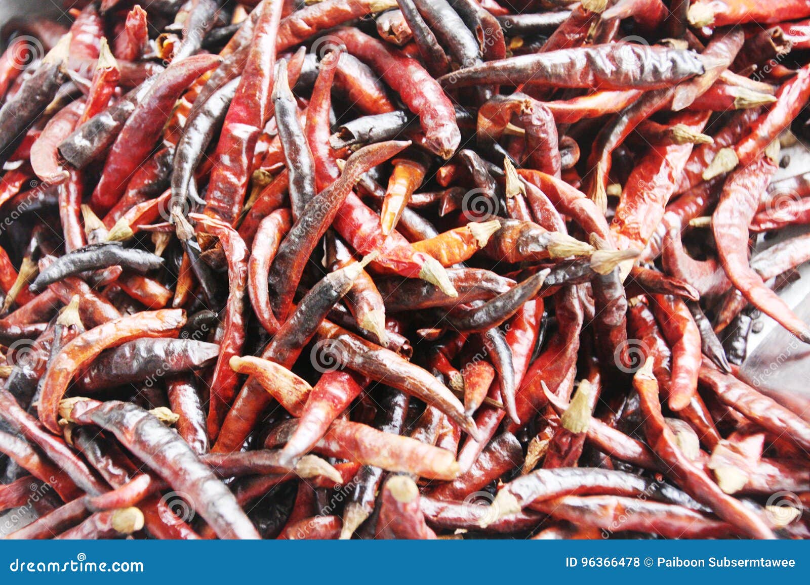 Dried Chillies stock photo. Image of agriculture, sauce 96366478