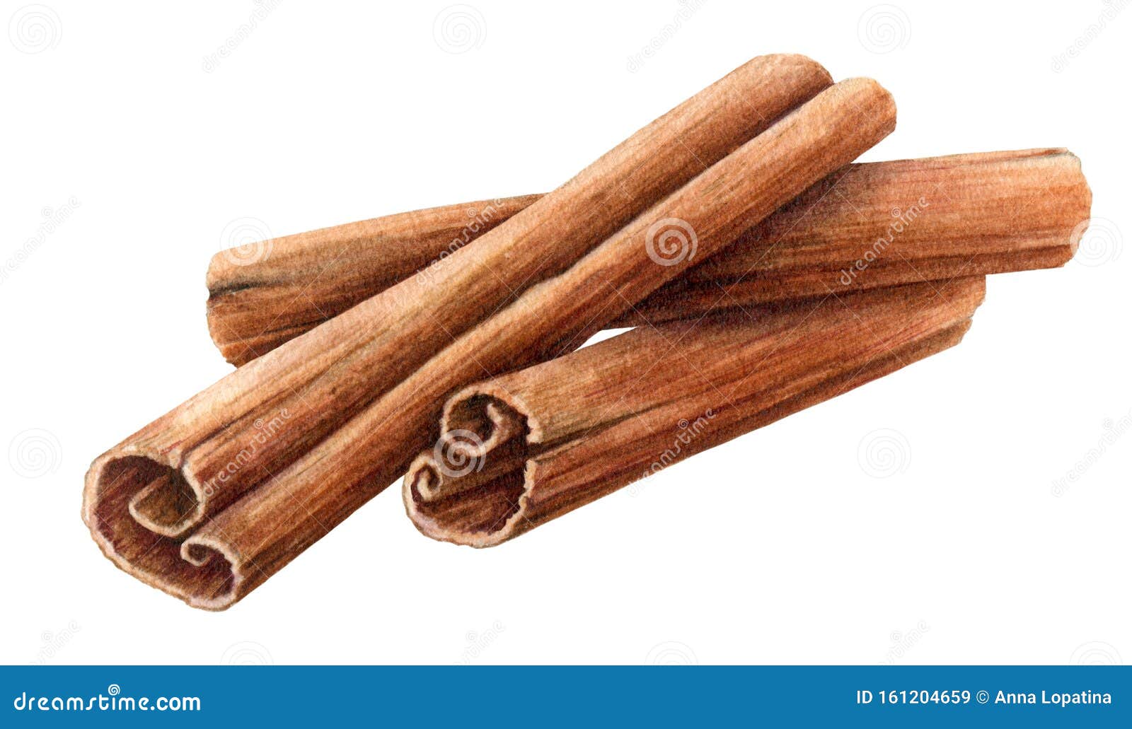 CINNAMON STICKS SPICE KITCHEN SPICES DRAWING PAINTING ART PRINT ON REAL CANVAS 