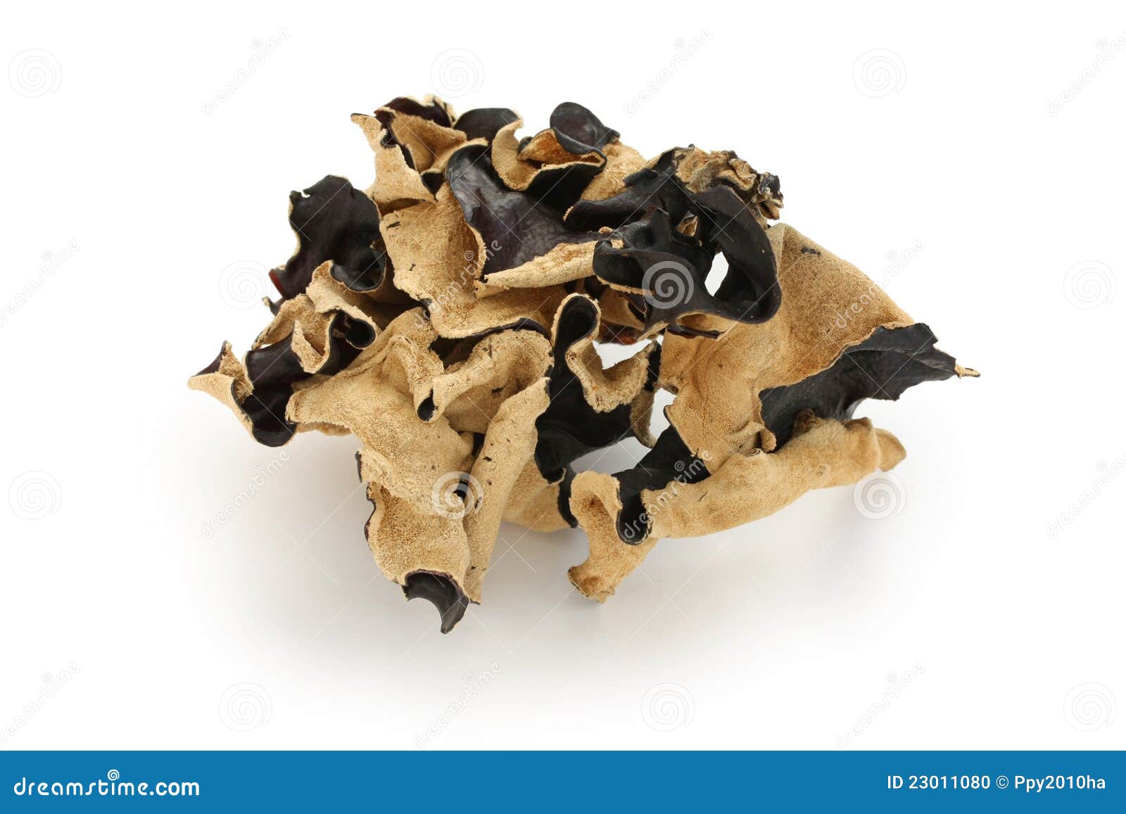 Dried cloud ear fungus stock photo. Image of health, background 23011080