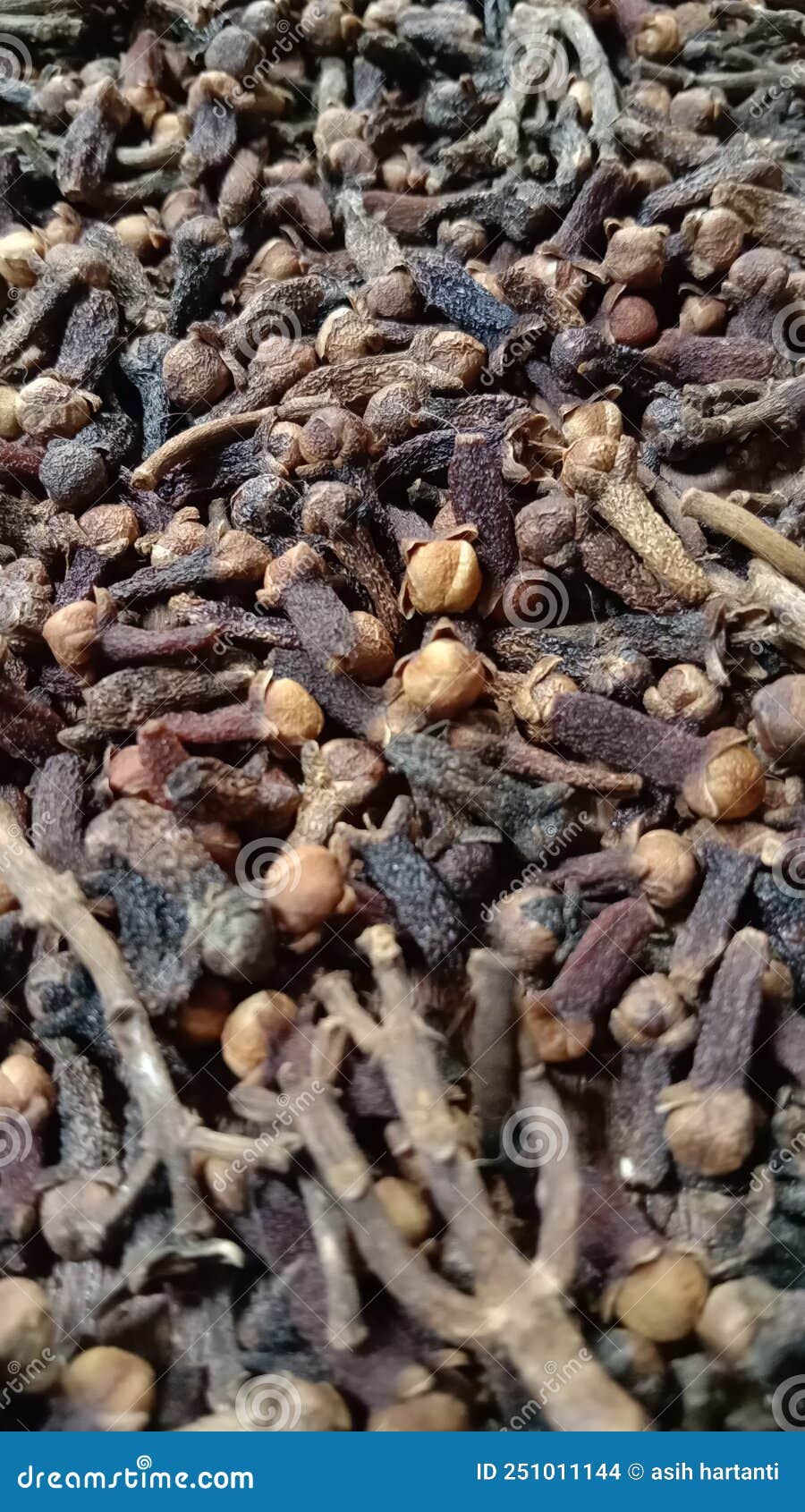 Dried clove flower stock photo. Image of experience 251011144